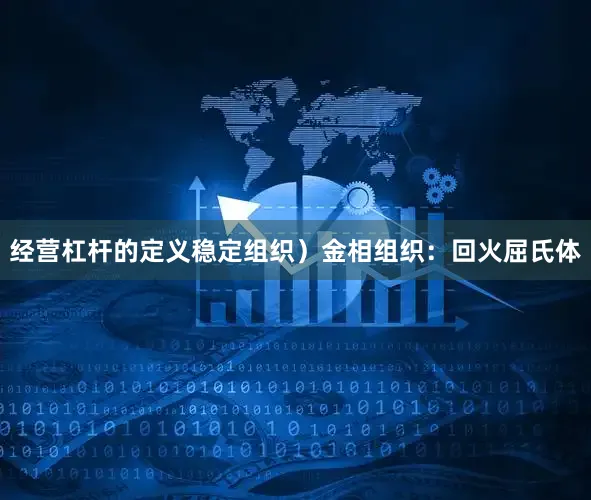 经营杠杆的定义稳定组织）金相组织：回火屈氏体