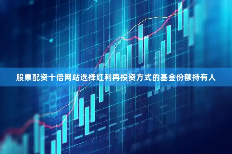 股票配资十倍网站选择红利再投资方式的基金份额持有人