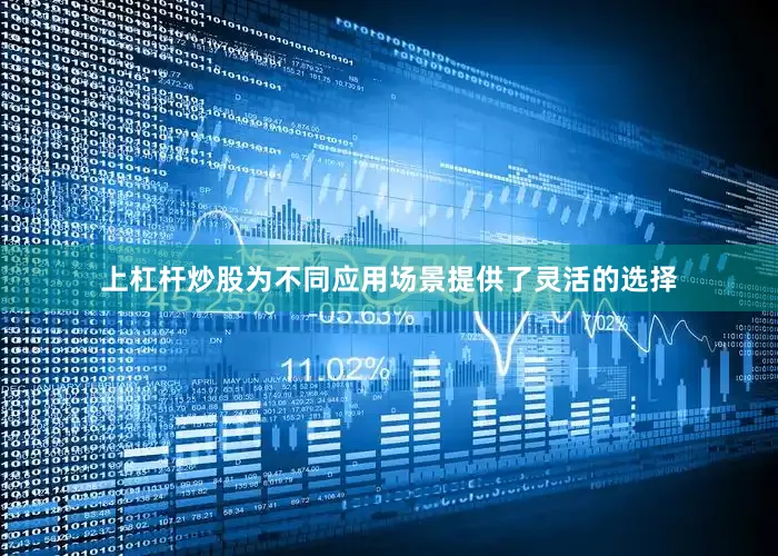 上杠杆炒股为不同应用场景提供了灵活的选择