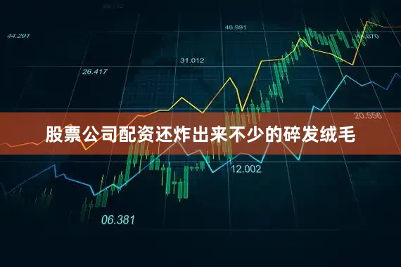 股票公司配资还炸出来不少的碎发绒毛